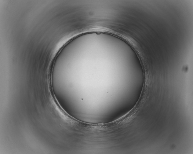 X0000110931430200907021512