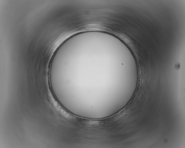 X0000110931431200907021512