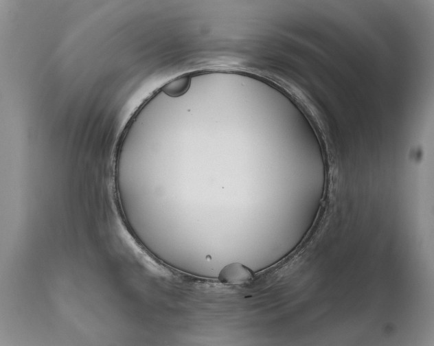 X0000110931432200907021512