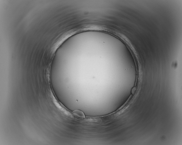 X0000110931433200907021512