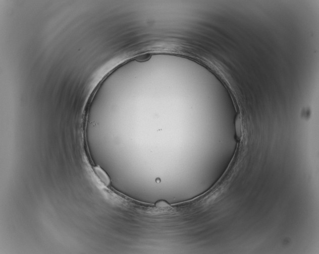 X0000110931434200907021512