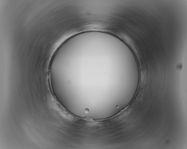 X0000110931435200907021512