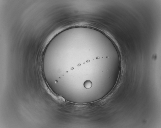 X0000110931437200907021513