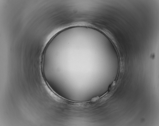 X0000110931438200907021513