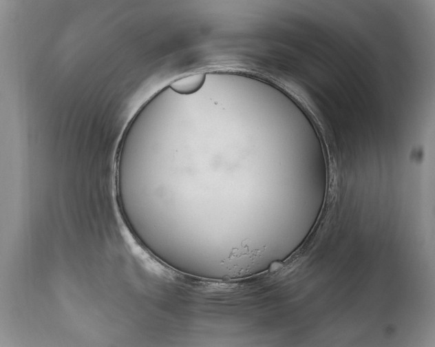 X0000110931439200907021513