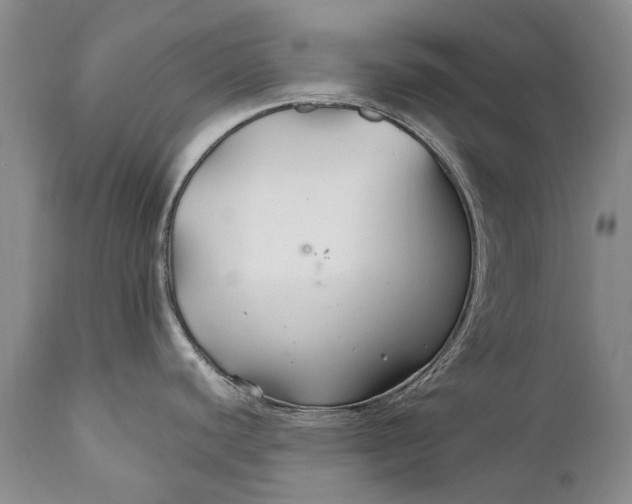 X0000110931440200907021513