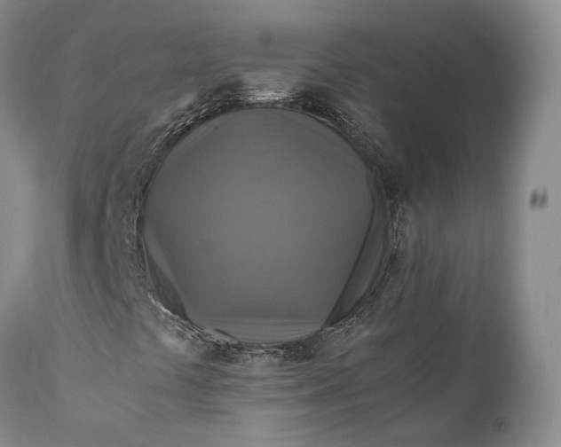 X0000110931441200907021511