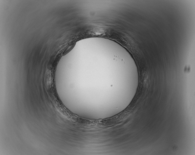 X0000110931442200907021511