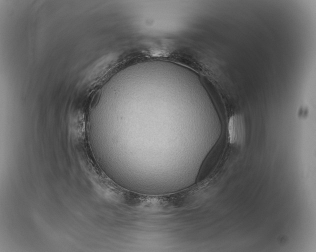 X0000110931443200907021511