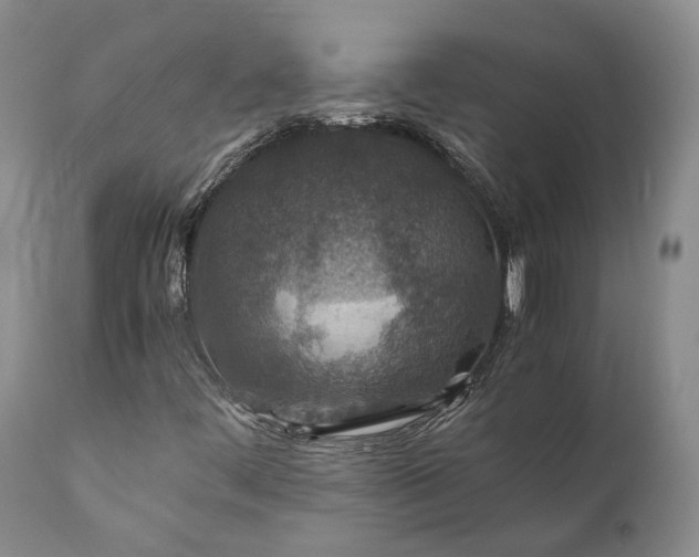 X0000110931444200907021511