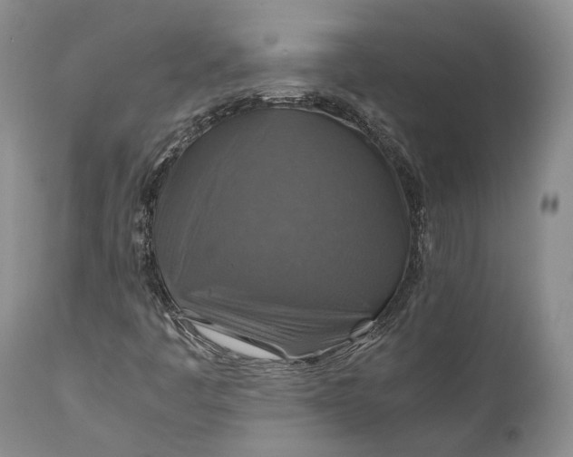 X0000110931445200907021511