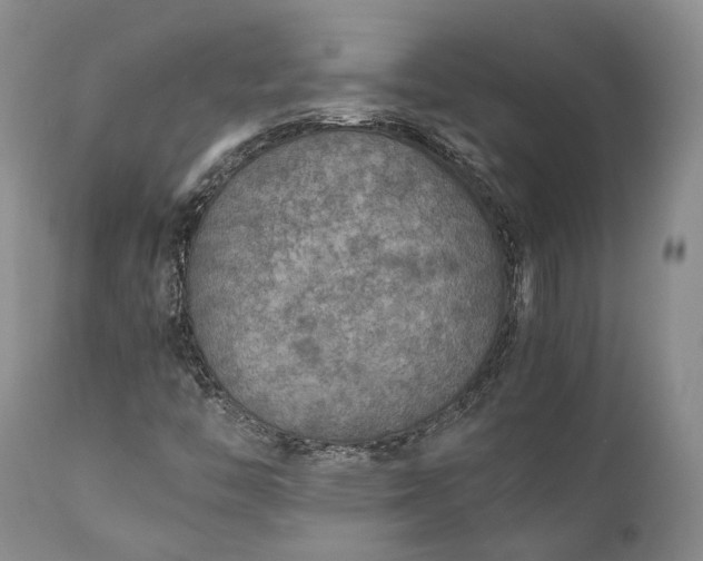 X0000110931446200907021511