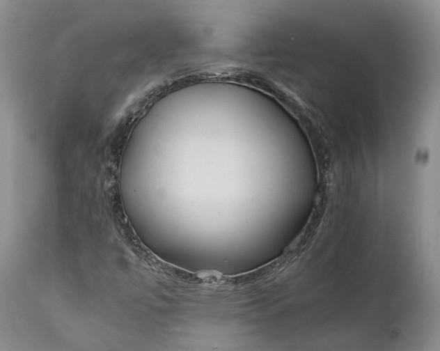 X0000110931447200907021511