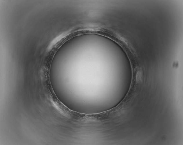 X0000110931448200907021511