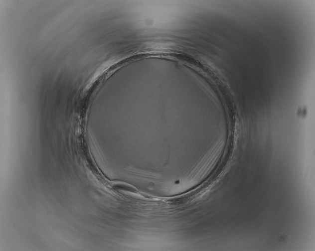 X0000110931449200907021511