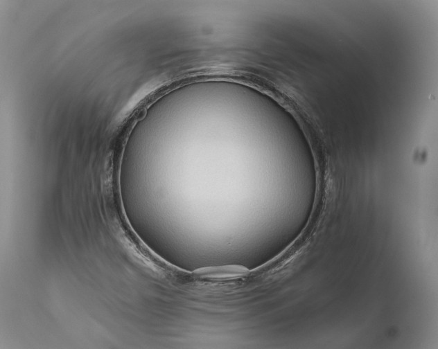 X0000110931450200907021511
