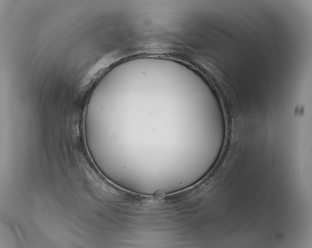 X0000110931451200907021511