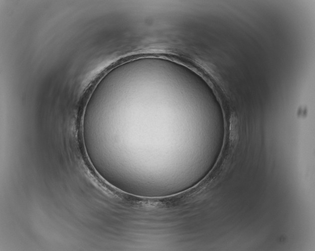 X0000110931452200907021511