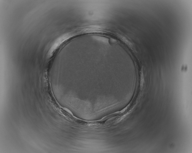 X0000110931453200907021511