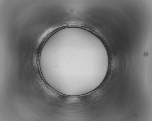 X0000110931454200907021511
