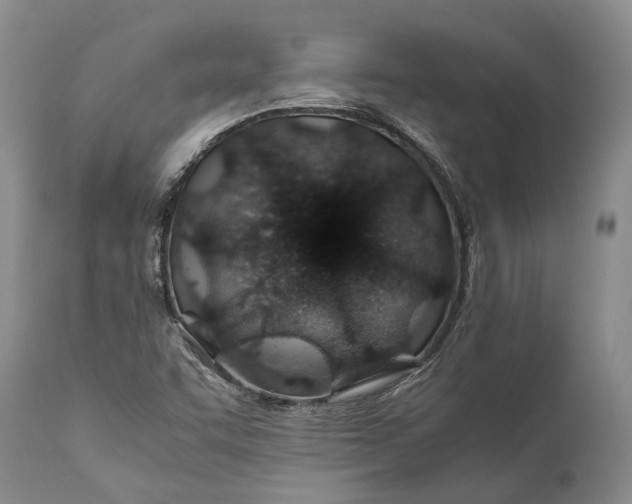 X0000110931455200907021511