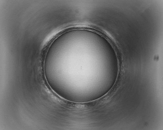 X0000110931456200907021511
