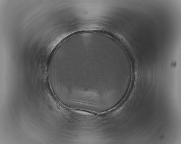 X0000110931457200907021511