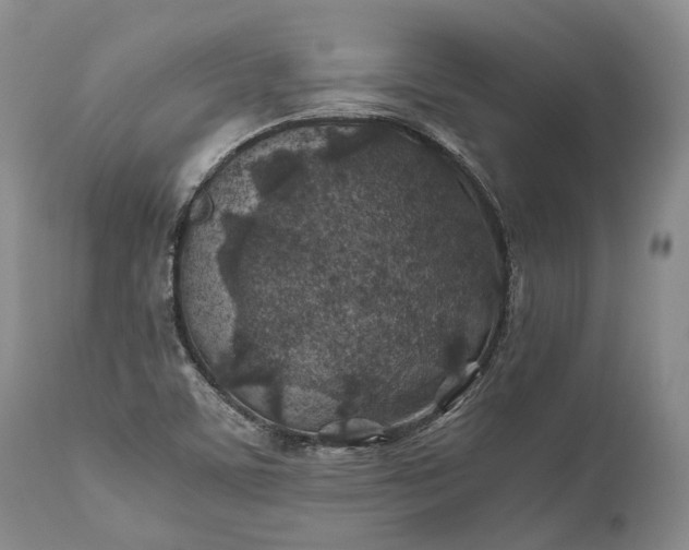 X0000110931459200907021511