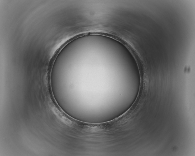 X0000110931460200907021511