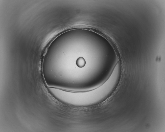 X0000110931461200907021511