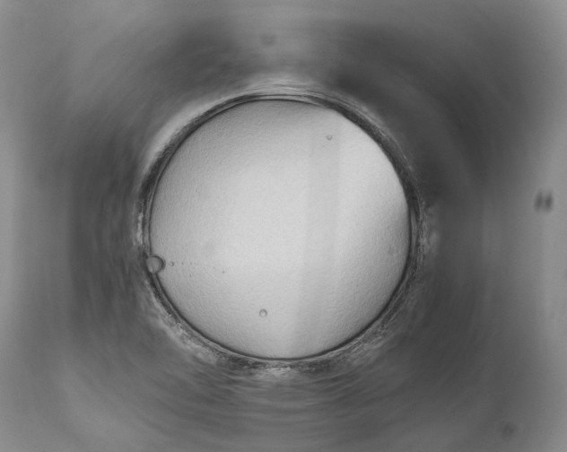 X0000110931462200907021511