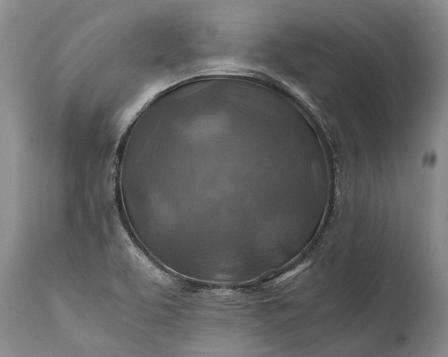 X0000110931463200907021511