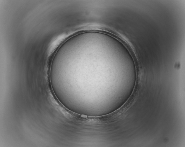 X0000110931464200907021511