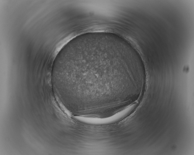 X0000110931465200907021511