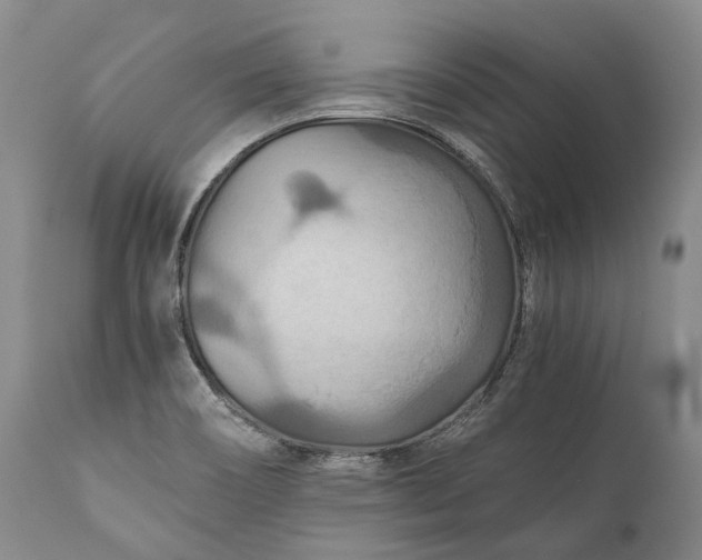 X0000110931466200907021511