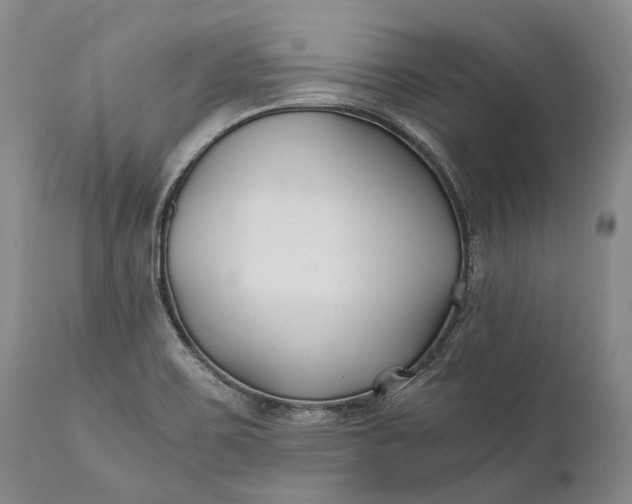 X0000110931467200907021511
