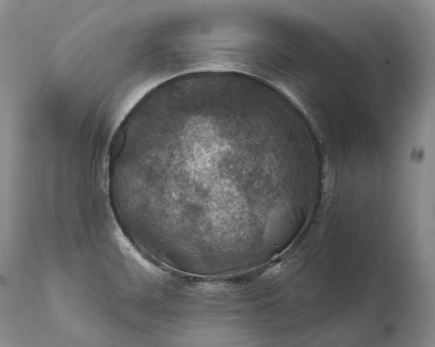 X0000110931468200907021511