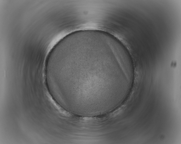 X0000110931469200907021511