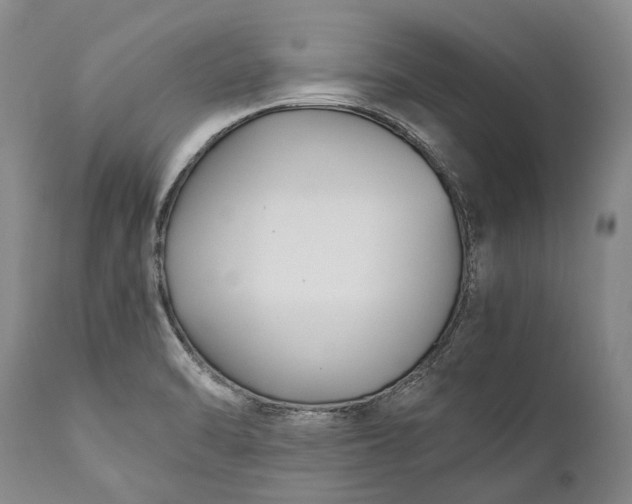 X0000110931470200907021511