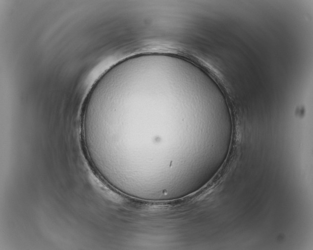 X0000110931471200907021511