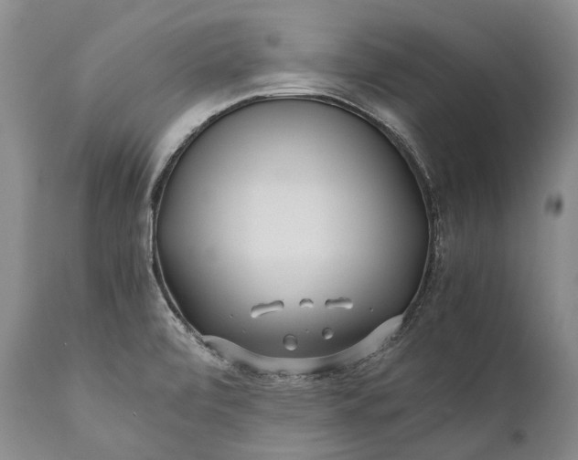X0000110931472200907021511