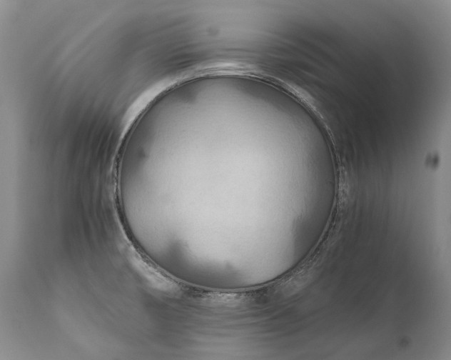 X0000110931474200907021511