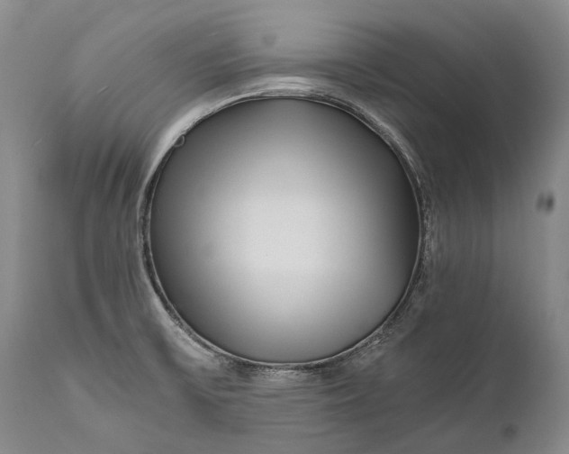 X0000110931475200907021511