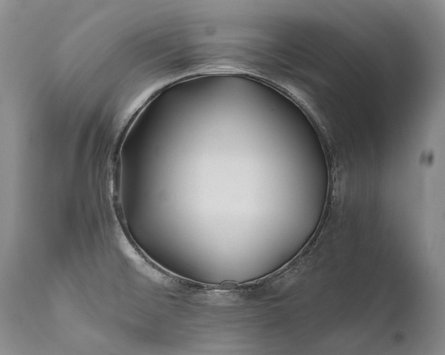 X0000110931476200907021511