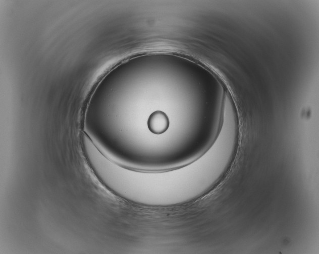 X0000110931477200907021511