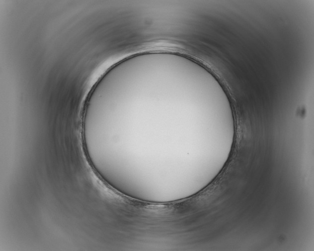 X0000110931478200907021511
