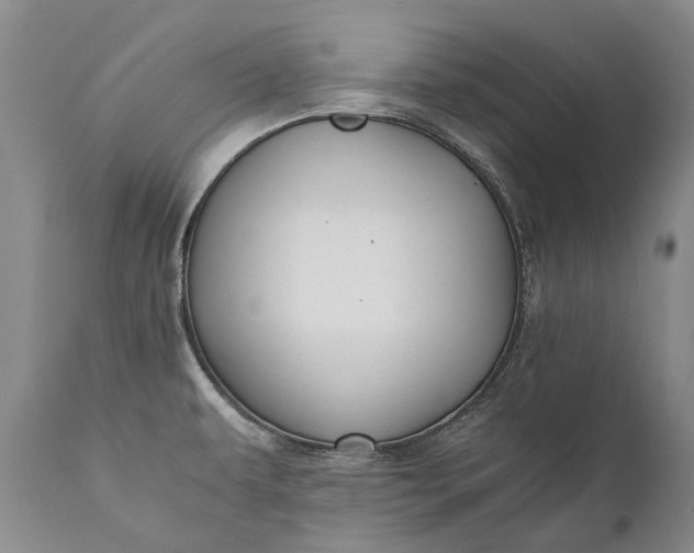 X0000110931479200907021511