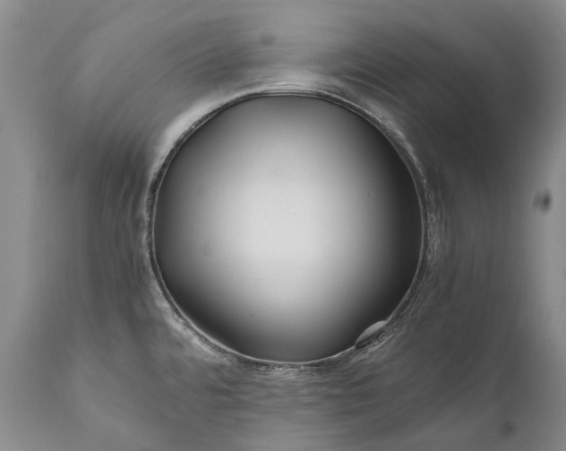X0000110931480200907021511