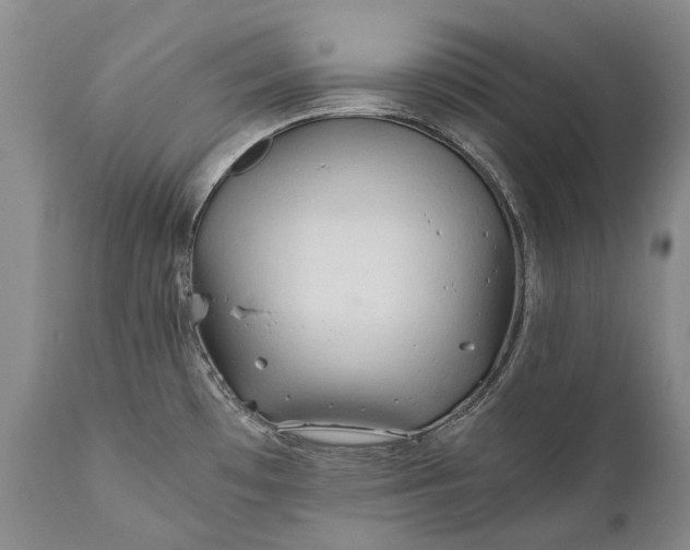 X0000110931481200907021511