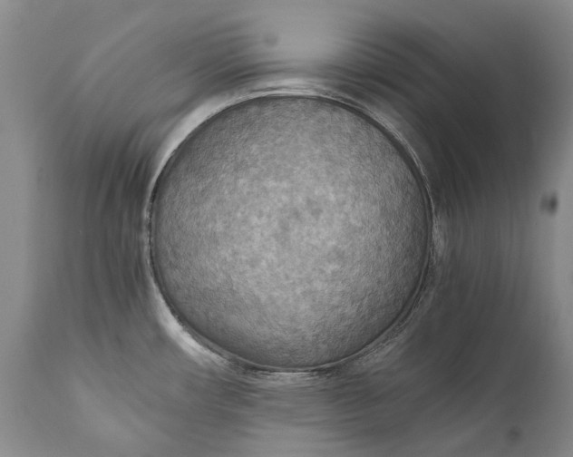 X0000110931482200907021511